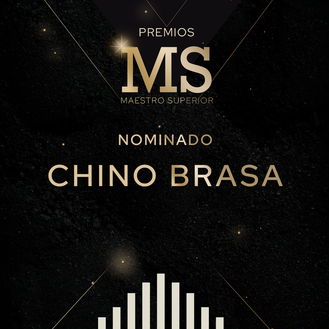 MEJOR POLLO A LA BRASA
