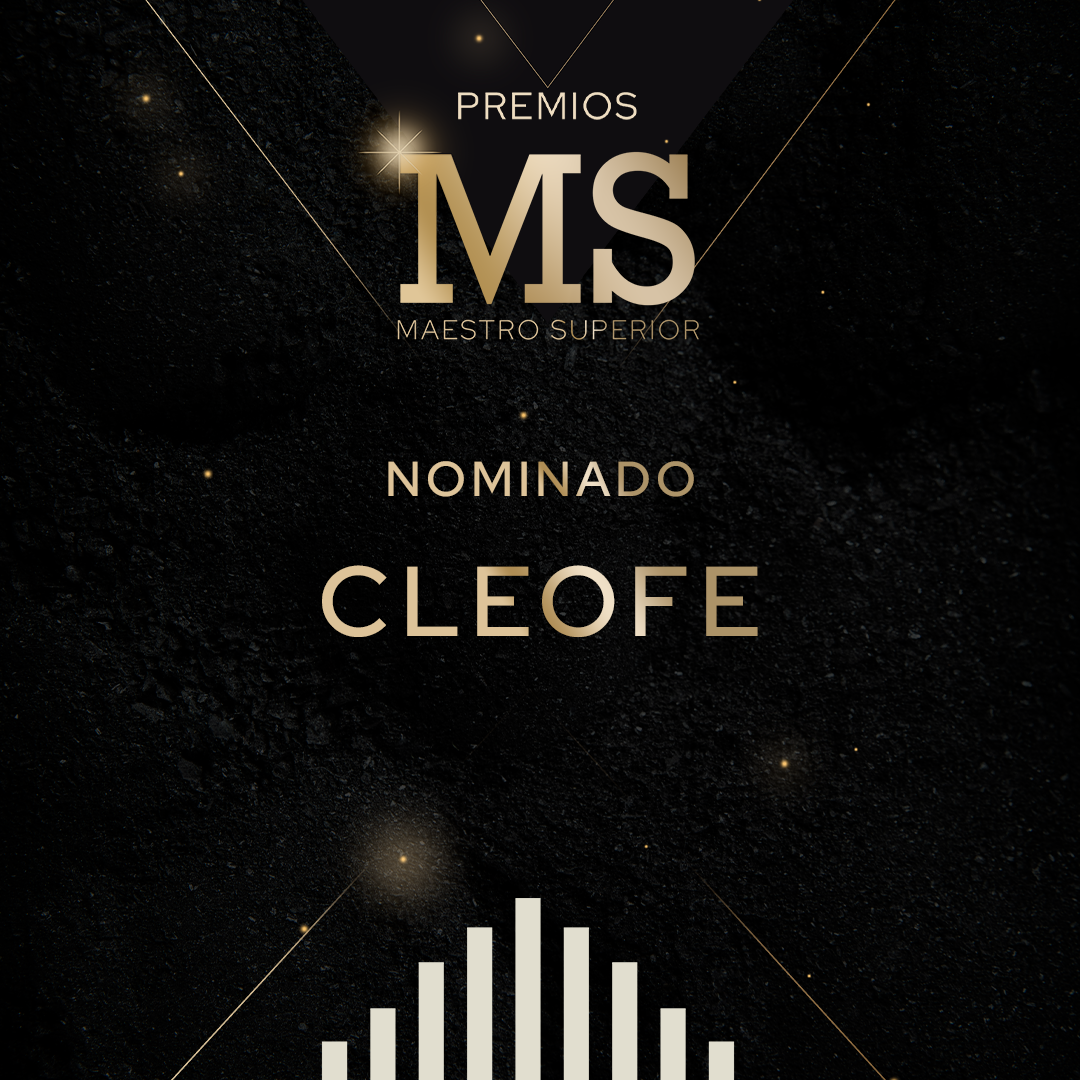 MEJOR ANTICUCHO
